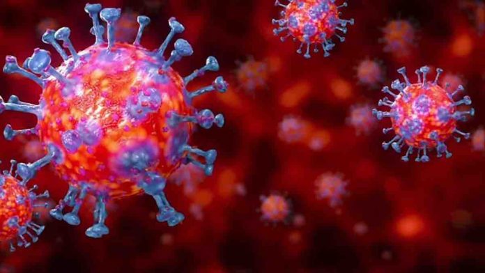 Corona Virus