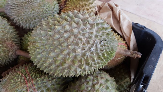 durian-2637551_1280
