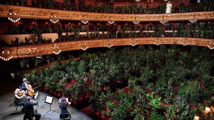 Opera house bacelona
