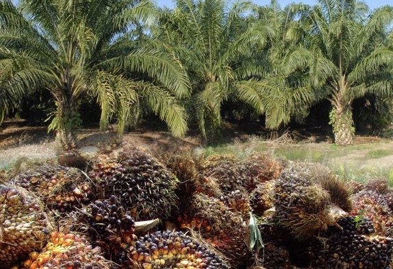 18B564DB-CF60-41E9-91EA-D847C2058675