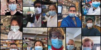 59 มหาวิทยาลัยหนุนฮาวาร์ดและเอ็มไอที ท้าทายคำสั่งของ “ทรัมป์” หลังออกกฏจะส่งนักศึกษาต่างชาติกลับบ้านหากเรียนออนไลน์