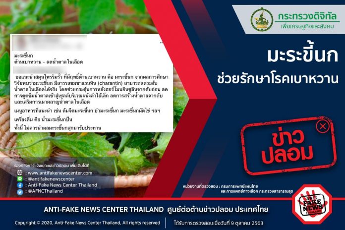 ข่าวปลอม3