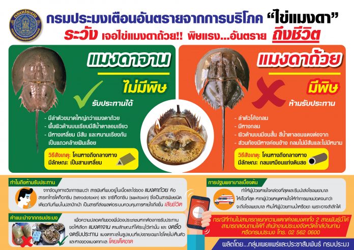 แมงดาทะเล-2