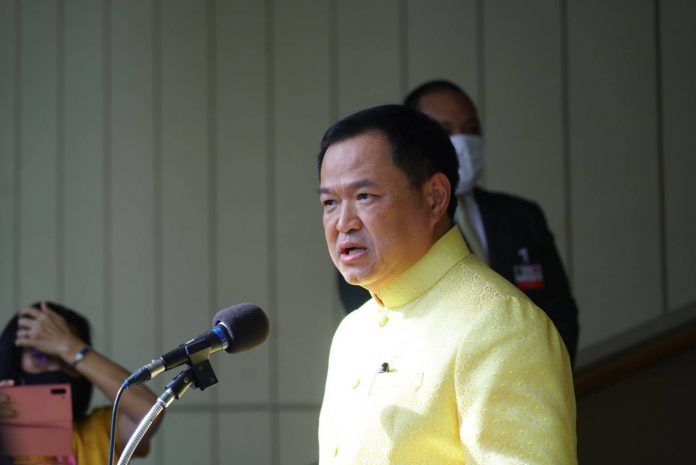 อนท ไทยเหลือง1