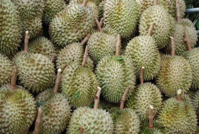 ทุเรียน