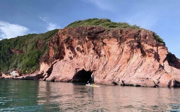 DF9D3678-20CE-4F53-8338-65B17390BFE1