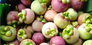 โควิด-19 พ่นพิษมังคุดภาคใต้ราคาดิ่ง