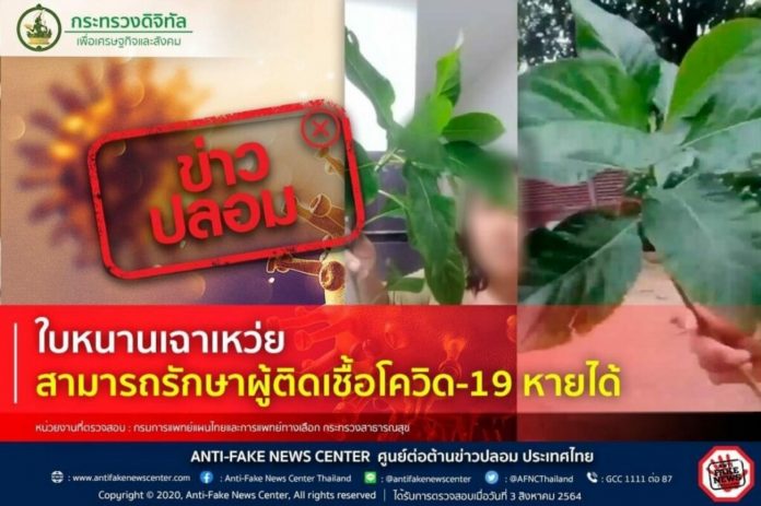 PicsArt_08-03-11.33.20