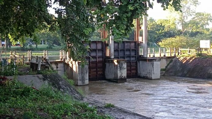 233456-1024x576
