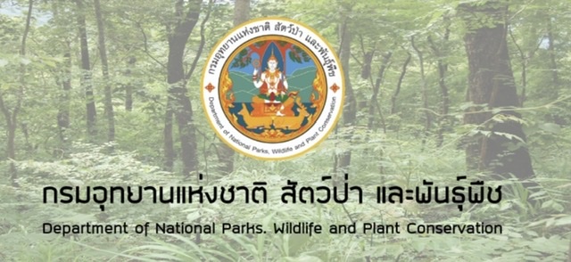 กรมอุทยาน