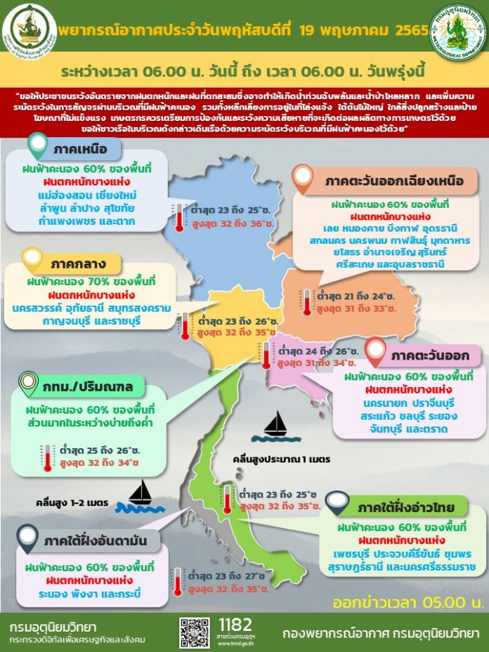 Info 19