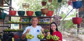 พาณิชย์ ดึงฟาร์มเอาต์เล็ตทั่วประเทศ รับซื้อมะนาว ลดปัญหาล้นตลาด-ราคาตกต่ำ