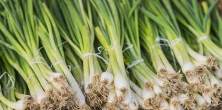 ค้าภายใน เผย น้ำท่วมดันราคาผักปรับตัวสูงขึ้น ‘ต้นหอม’ ทะลุ ก.ก.ละ 200 บาท