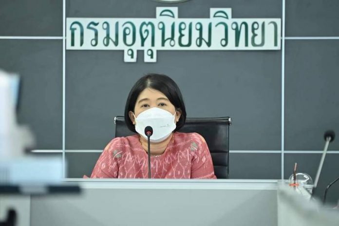 ชมภูภารี
