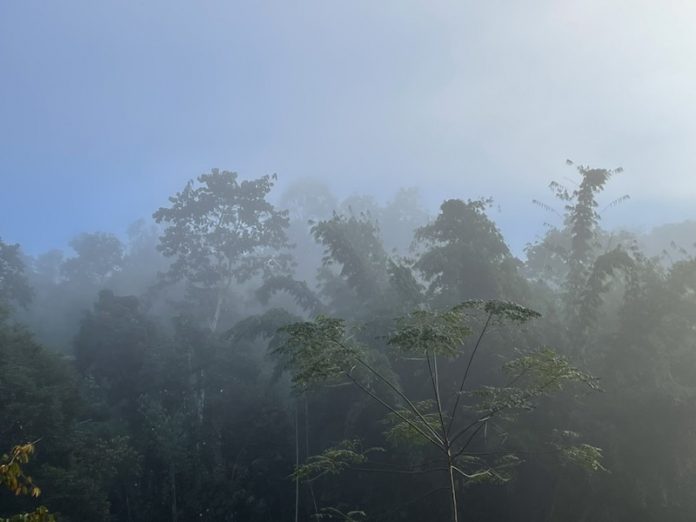 หนาว