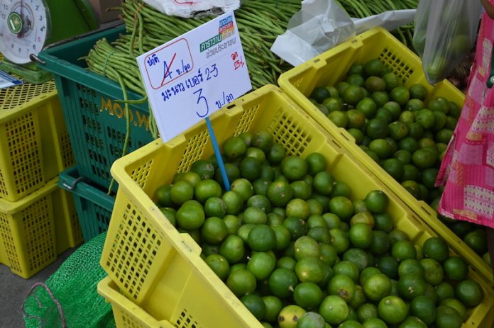 Lemon มะนาว