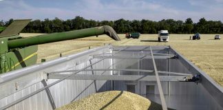 “โปแลนด์-ฮังการี”แบนสินค้าเกษตรยูเครน ปกป้องผลผลิตท้องถิ่น