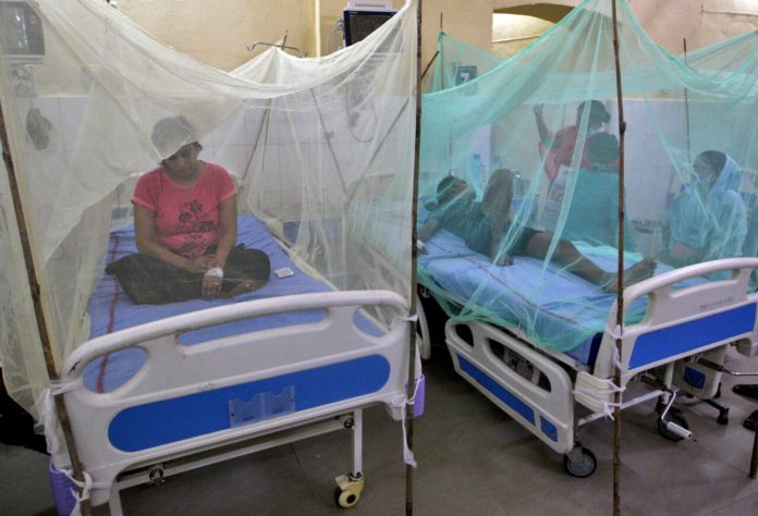 Dengue-infected patients sit under the mosquito nets after being hospitalised at Tej Bahadur Sapru Hospital in Prayagraj