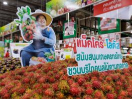 แม็คโคร – โลตัส จับมือ กรมการค้าภายใน ผนึกกำลังช่วยชาวสวนไทย