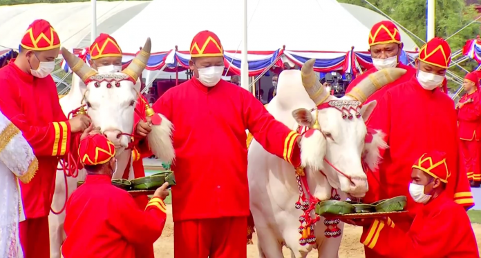 พระโค3