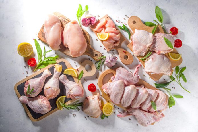 ไก่34