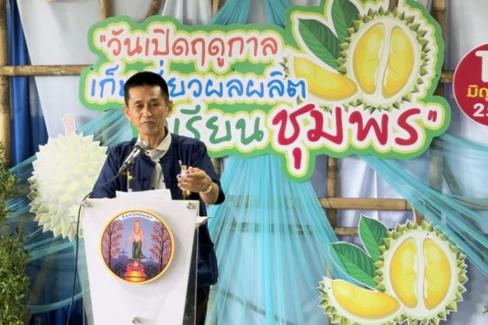 ทุเรียนชุมพร