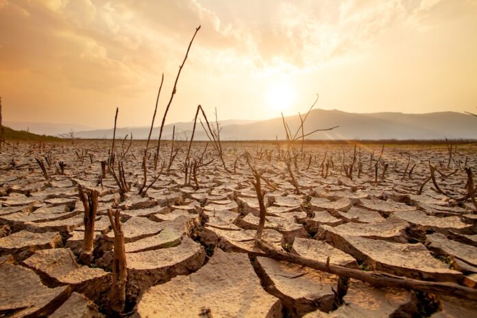 Dead,Trees,On,Dry,Cracked,Earth,Metaphor,Drought,,Water,Crisis