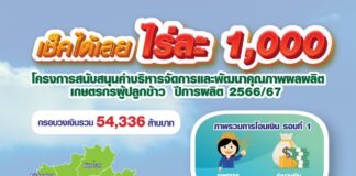 เช็คเลย! จ่ายไร่ละ 1,000 บาท จังหวัดไหนได้รับวันใดบ้าง