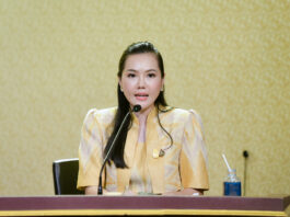 ครม.อนุมัติมาตรการรักษาเสถียรภาพราคาข้าวโพดเลี้ยงสัตว์