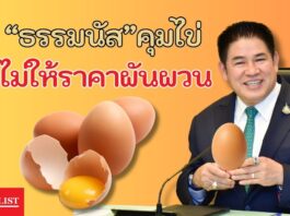 “ธรรมนัส”คุมไข่ไม่ให้ราคาผันผวน ปลดระวางไก่ไข่ตามอายุที่เหมาะสม