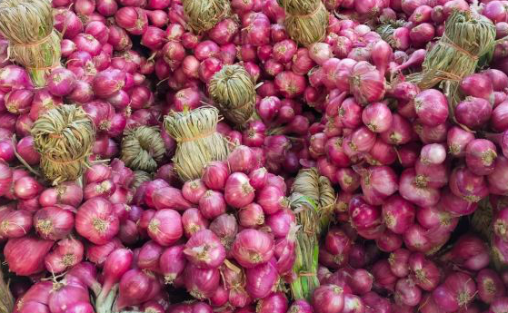 onion