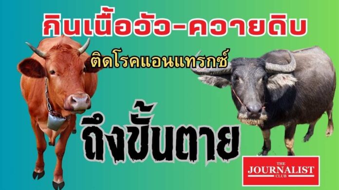 เนื้อวัว ควาย แอนแทรกซ์ ลาว ตาย