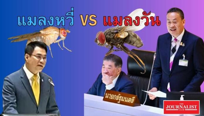 ประชุมสภา เศรษฐา อภิปราย แมลงหวี่ แมลงวัน จุรินทร์