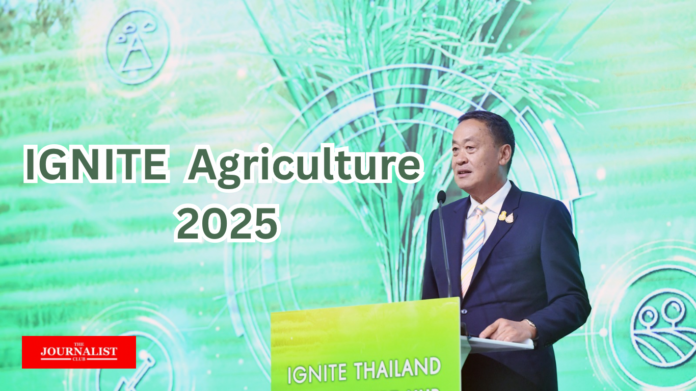 IGNITE AGRICULTURE HUB ตั้งเป้าส่งเสริมเกษตรกรไทย ให้มีรายได้มากขึ้น 3 เท่าใน 4 ปี เศรษฐา ทวีสิน นายกรัฐมนตรี ได้แถลงวิสัยทัศน์ “IGNITE Agriculture 2025” ว่าด้วยเรื่องนโยบายการเกษตร ที่รัฐให้ความสำคัญเป็นอย่างมาก