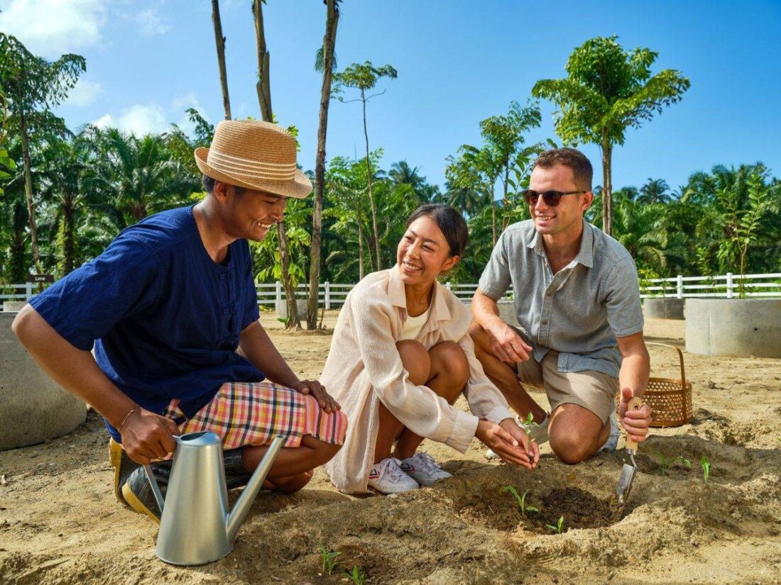 ภายใน JW Garden ( เจดับบลิว การ์เด็น) มีบริการจัดทัวร์ ฟาร์ม ทุกวัน มีพืช ผัก สมุนไพร ให้ผู้เข้าพัก ท่องเที่ยว ชมกว่า 200 สายพันธุ์