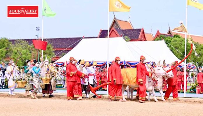 วันพืชมงคล พระราชพิธีพืชมงคลจรดพระนังคัลแรกนาขวัญ ปี2567 วันพืชมงคล พระราชพิธีพืชมงคลจรดพระนังคัลแรกนาขวัญ ปี2567