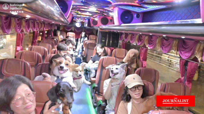 ททท. Pet Travel Ai Chong You Dog Lover เที่ยวเมืองไทย