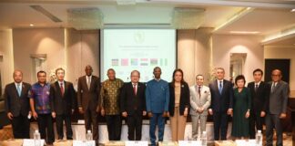 สภาธุรกิจไทย-แอฟริกาใต้