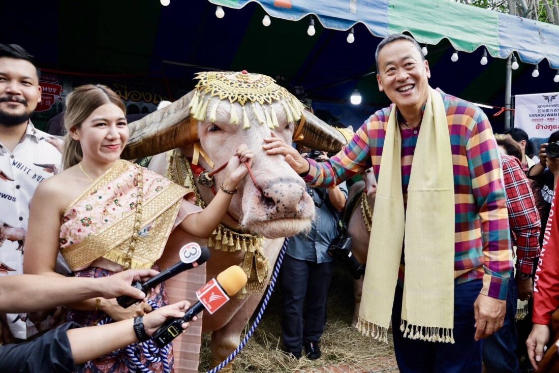 จัดแข่งขันประกวดควายยิ่งใหญ่สุดในเมืองไทย ชิงถ้วยรางวัลจากนายกรัฐมนตรี และรัฐมนตรีว่าการกระทรวงเกษตรและสหกรณ์ เพื่อส่งเสริมให้เกษตรกรปศุสัตว์ไทยนำไปต่อยอด และพัฒนาสายพันธุ์