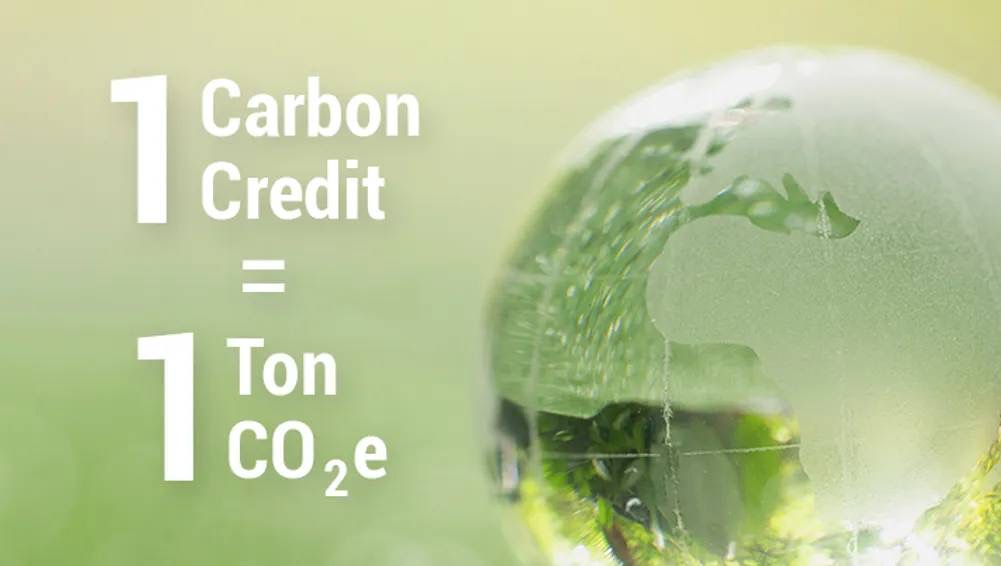 สอนใช้แอปพลิเคชั่น MyCF ซื้อขายในตลาด 1 คาร์บอนเครดิต เท่ากับ 1 ตันคาร์บอนไดออกไซด์เทียบเท่า (CO2e) โดยลดหรือกักเก็บก๊าซเรือนกระจกจากโครงการต่าง ๆ เช่น ปลูกป่า ลดใช้พลังงาน