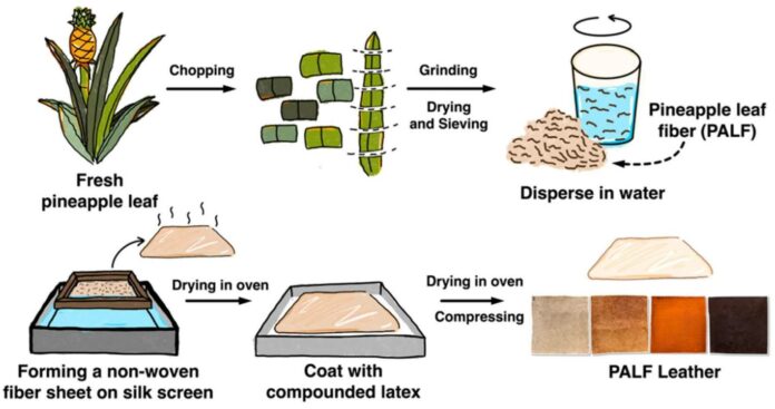 sustainability หนังจากใยสับปะรด