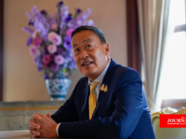 Srettha illegal palm oil