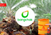 Bangchak reveal purchases B100 at a standardized price