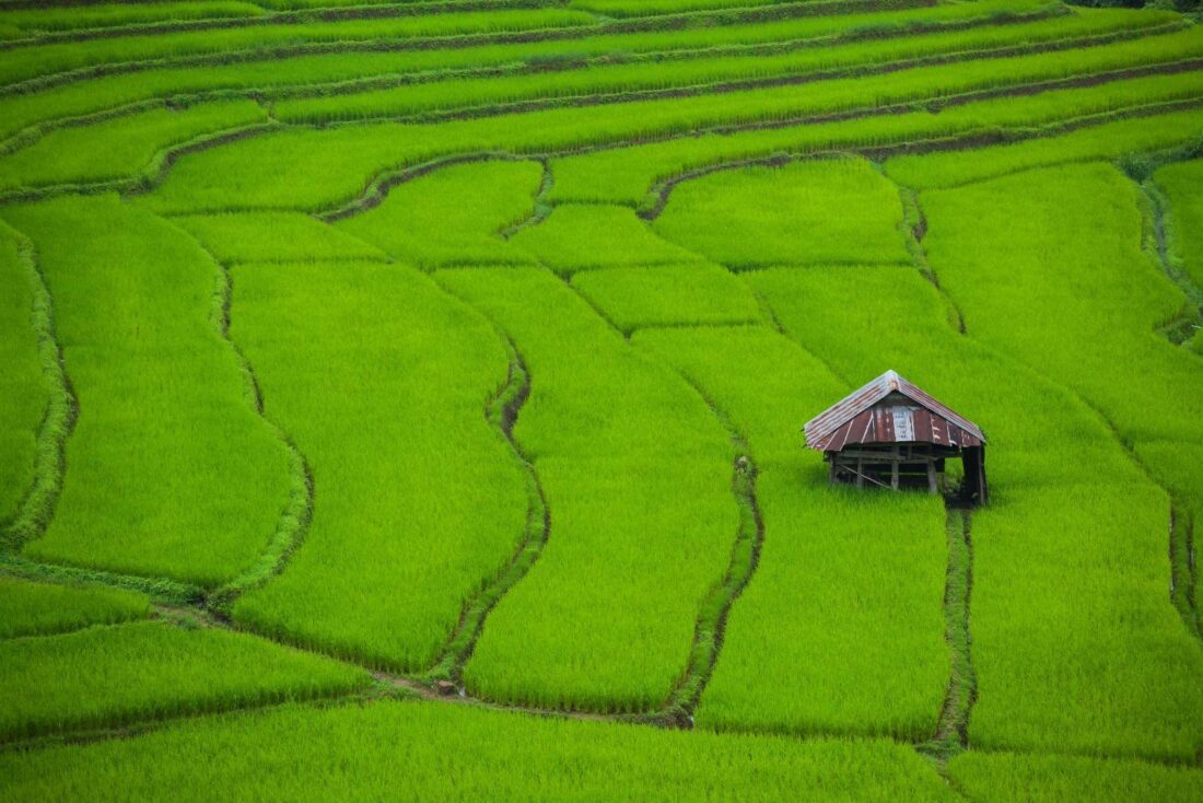 นาขั้นบันได