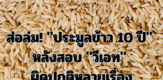 ประมูลข้าว 10 ปี