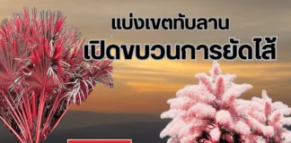 แบ่งเขตอุทยานแห่งชาติทับลาน