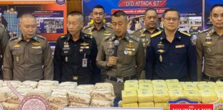 กวาดล้างนาเสพติด