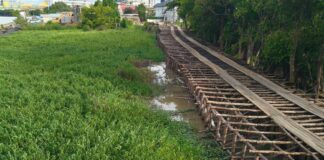 กรมชลประทาน