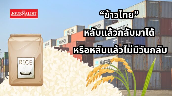 Thai rice ข้าวไทย