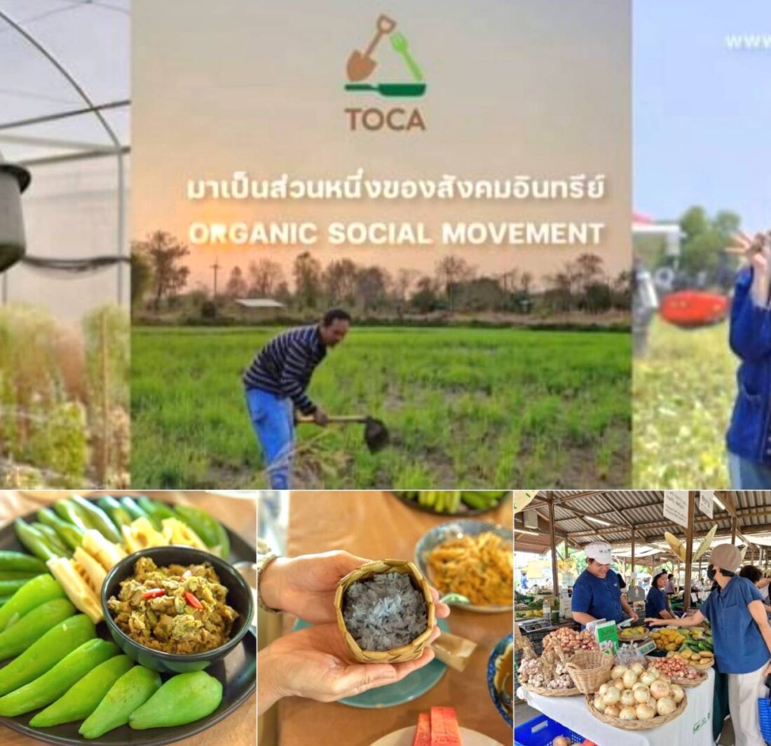 อาหารอินทรีย์